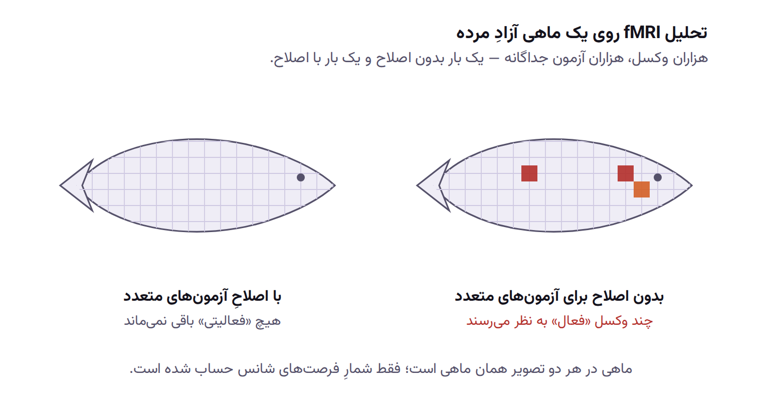 مقایسه‌ی نتیجه‌ی تحلیل fMRI ماهی مرده پیش و پس از اصلاح آزمون‌های متعدد: در تصویر بدون اصلاح چند وکسل رنگی در سر و ستون فقرات ماهی دیده می‌شود و در تصویر اصلاح‌شده هیچ وکسل فعالی باقی نمانده است.
